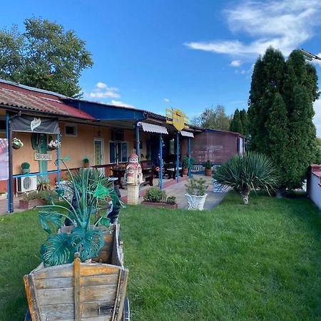 Motel Dilijans Vidin Bagian luar foto