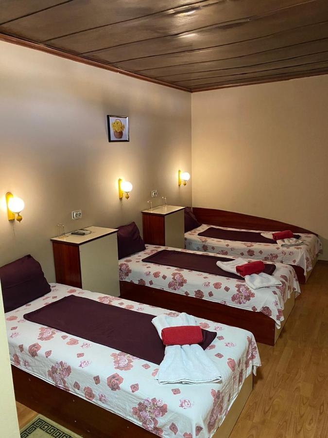 Motel Dilijans Vidin Bagian luar foto